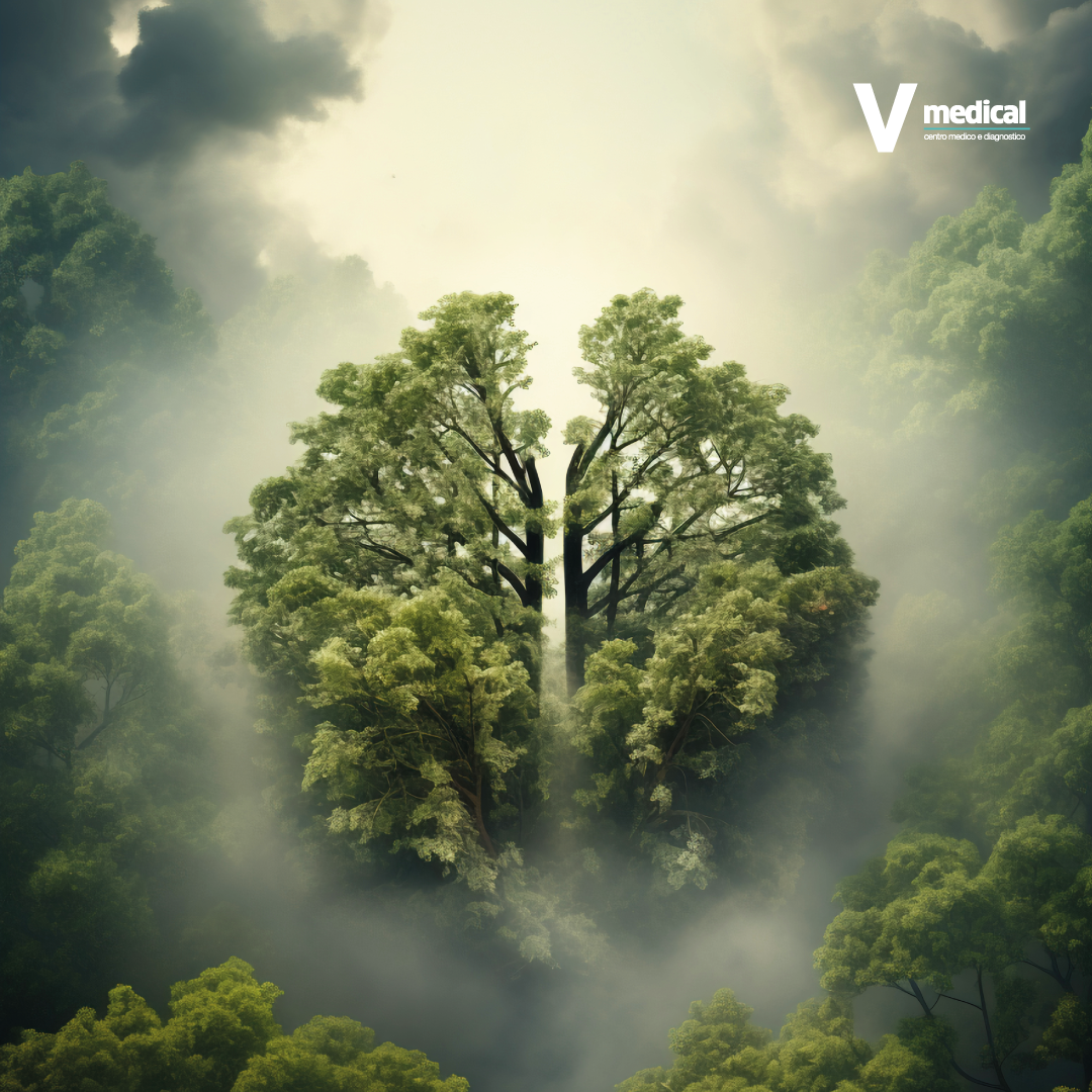 Natura e aria pulita per proteggere la salute respiratoria Polmoni verdi formati da alberi immersi nella natura e nella nebbia